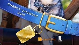 Dogs of Rare, el divertido calendario solidario de las mascotas de Rare