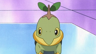 Tenemos fecha para una invasión Turtwig en Pokémon GO