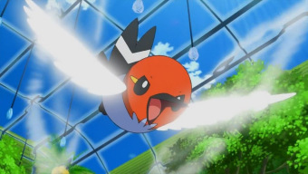 Pokémon GO nombra a Fletchling protagonista del Día de la Comunidad de marzo, que ya tiene fecha y hora