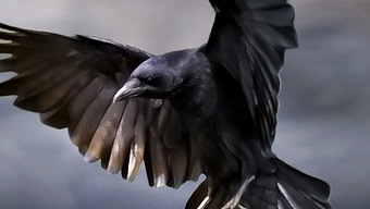 El terrorífico Dead Secret recibe fecha de lanzamiento para PS4