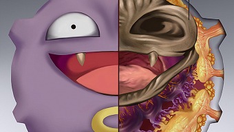 El libro de anatomía que muestra el interior de los Pokémon