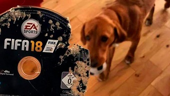 Su perro se come su FIFA 18 y Amazon le regala otro disco