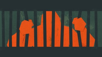 Ape Out gratis, el nuevo juego de regalo de la Epic Games Store por Navidad, ¡corre!