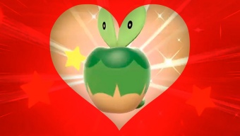 Un fan encuentra dentro de Pokémon Espada y Escudo el regalo más romántico