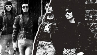 15 portadas de discos famosos recreados en Fallout 76