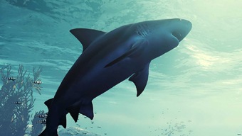 Tripwire Interactive renueva su alianza con Koch Media para el lanzamiento de Maneater y Chivalry 2