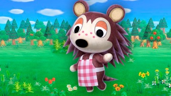 ¿Cómo se desbloquean nuevos patrones en Animal Crossing: New Horizons? La clave está en Mili