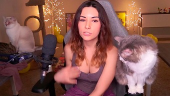 La comunidad pide la expulsión de una streamer en Twitch por maltratar a su gato en una partida de Apex Legends