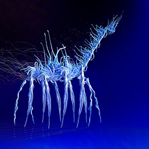 Puzles de lógica y de papel