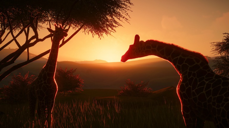 Planet Zoo recibe un aluvión de mejoras con su última actualización gratis