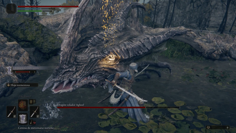 Imagen de Elden Ring