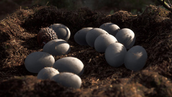 Dinosaurios hiperrealistas con Unreal Engine 5: nuevo teaser de Instinction, inspirado en Dino Crisis