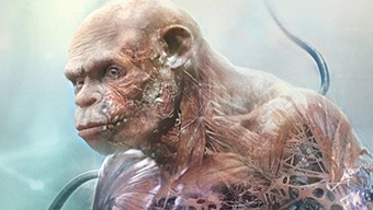 Beyond Good & Evil 2 presenta nuevas y hermosas imágenes