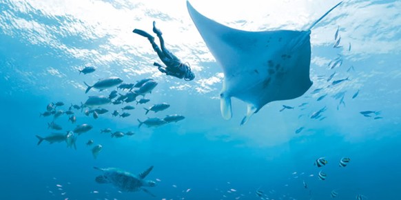 Los 20 Mejores Videojuegos de Wii