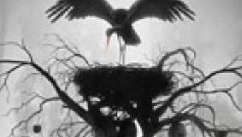 Eden, la adaptación de la controvertida y salvaje "Antichrist", a videojuego