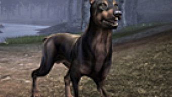 Fable III lanza un pack de perros para cambiar el aspecto de nuestro "mejor amigo"