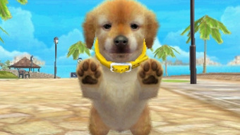 Conseguir un speedrun en Nintendogs es más difícil cuando te toca un perro desobediente: ¡buen chico!