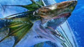 Monster Hunter 3 Ultimate celebra el 10 de mayo su Día del Cazador con importantes descuentos