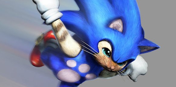 El  simple acuerdo entre Sega y Capcom por los Sonic Feline de Monster Hunter 4 Ultimate