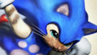 Disfraza a tu Feline de Sonic en Monster Hunter 4