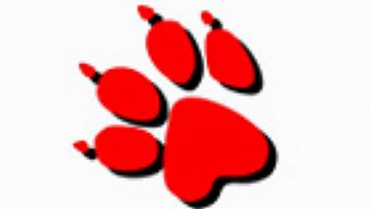 El 2014 "marcará un momento muy especial" en la historia de Naughty Dog