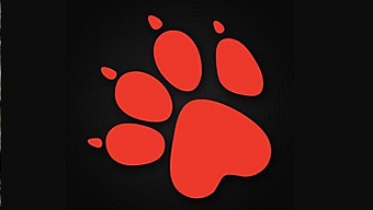 Naughty Dog contesta a las críticas de Warren Spector